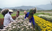 Moderne Genossenschaften schaffen neue Impulse für Landwirtschaftsentwicklung