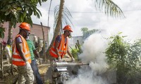 Zika in Lateinamerika: Gesundheitsminister treffen sich in Montevideo