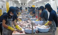 Vietnam begrüßt Entscheidung des US-Senats über Pangasius