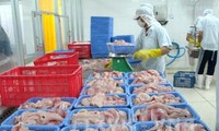 12 weitere vietnamesische Unternehmen dürfen Pangasius in die USA exportieren