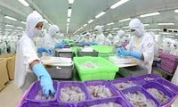 Export von Produkten der Fischerei profitiert von Freihandel zwischen Vietnam und EAEU