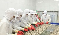 Vietnam will Exportvolumen von Garnelen erhöhen