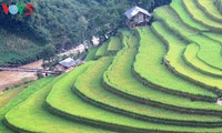 Yen Bai ist bereit für Kulturwoche-Tourismus “Reisterasse Mu Cang Chai”