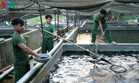 Ausstellung der Produkte der Aquakultur Vietnam 2017