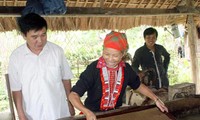 Bewahrung der Produktion von Ban-Papiere der Volksgruppe der Dao in Ha Giang