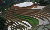 Mu Cang Chai, eines der schönsten Besuchsziele der Welt