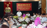 Vizepremierminister Vuong Dinh Hue auf Dienstreise in Gia Lai