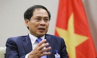 Eröffnung der Konferenz über Zusammenarbeit zwischen Vietnam und ausländischen Nichtregierungsorganisationen