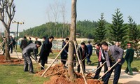 Frühling: Pflanzensaison in vietnamesischen Dörfern