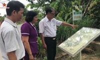 Entdeckung der Kartenstraße in Binh Duong