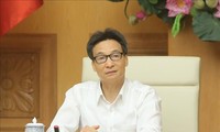 Vizepremierminister Vu Duc Dam: Beschleunigung der Produktion der Medikamente in Vietnam