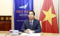 Vietnam nimmt an Online-Konferenz des Weltsicherheitsrates über Pandemie und Sicherheit teil