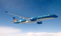 Rechtzeitige Umsetzung der Sicherheitsmaßnahmen im Fall eines Passagierflugzeugs von Vietnam Airlines 