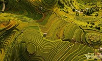 Mu Cang Chai und Halong-Bucht gehören zu den buntesten Reisezielen der Welt 2023