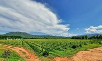 Wunsch nach einem Land mit der nachhaltigen Landwirtschaft