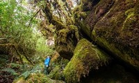 Lai Chau organisiert Wettbewerb für Bergsteiger