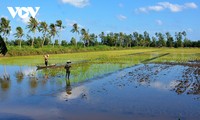 ມະຕິ “ແທດເໝາກັບດິນຟ້າອາກາດ” - ມຸ່ງໄປເຖິງເຂດທົ່ງພຽງແມ່ນ້ຳຂອງທາງພາກໃຕ້ຫວຽດນາມ ອຸດົມຮັ່ງມີ, ຍືນຍົງ