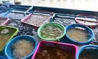 ສູນອະນຸລັກຮັກສາ ແລະ ຂະຫຍາຍພັນສັດທະເລ ເກາະ ສີຊັງ ເຊື່ອມຕໍ່ປະຊາຊົນເຂົ້າຮ່ວມການຟື້ນຟູຊັບພະຍາກອນທະເລ