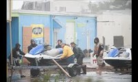 Super storm Sandy: At least 40 people dead 