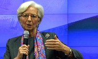 IMF will not allow Greece to delay its payments 