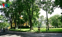 President Ho Chi Minh relic site in the Presidential Palace