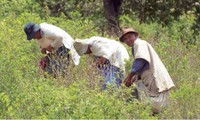 US wants to boost anti-drug cooperation with Bolivia 