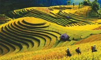 Mu Cang Chai y legendarias parcelas de arroz en terrazas