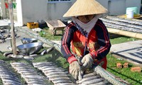 Aldeas de pescadores de Ca Mau en vísperas del Tet