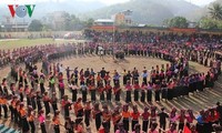 Celebran atractivas actividades culturales y recreativas en ocasión del Tet en Vietnam