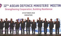 Asean crea una red de respuesta a los nuevos desafíos de seguridad