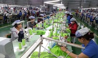 Nuevas oportunidades de cooperación entre Vietnam y la Unión Europea