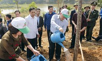 Festival de la Siembra de Árboles beneficia a Vietnam