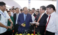 Celebran exposición sobre la construcción del nuevo campo en Vietnam