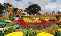 Celebrarán el Festival de Flor de Da Lat 2019