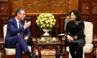 Vicepresidenta vietnamita recibe a director ejecutivo del grupo irlandés Mainstream Renewable