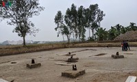 Campo de estacas de Cao Quy, descubrimiento importante relativo a la batalla fluvial de Bach Dang