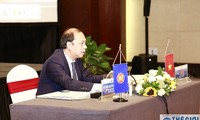 Vietnam preside reunión sobre construcción del marco integral de recuperación de Asean