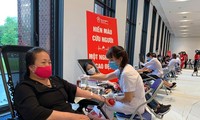 Celebran el programa de donación de sangre “Gotas rojas de gratitud” en Vietnam