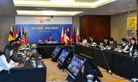 Celebran el 35º Foro Asean-Japón