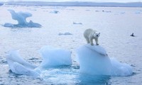 Inauguran Cumbre virtual sobre el Clima presidida por Estados Unidos