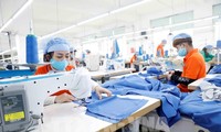 Empresas vietnamitas deben comprender la cultura local al exportar sus productos al Reino Unido, dicen expertos