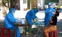 Vietnam detecta 379 nuevos casos de infección del covid-19