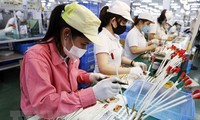 La prensa india señala que Vietnam y la India emergen como potencias económicas en la región