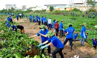 Sensibilizan sobre la protección del medio ambiente a la generación joven