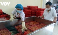 La IED de Vietnam podría llegar a 38 mil millones de dólares en 2023