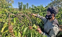 Comuna Glar, tierra de los campesinos felices