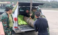 Desactivan bomba remanente de la guerra en provincia vietnamita