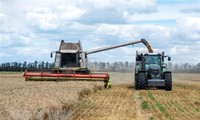 Rusia y Naciones Unidas se reunirán para debatir la exportación de productos agrícolas rusos