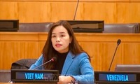 Vietnam trabaja con ASEAN para promover una solución pacífica y sostenible para Myanmar