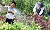 Vietnam moviliza apoyo al pueblo y los combatientes en las islas de Truong Sa